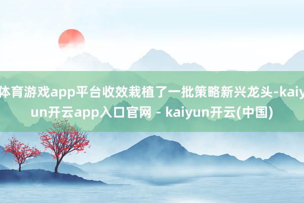 体育游戏app平台收效栽植了一批策略新兴龙头-kaiyun开云app入口官网 - kaiyun开云(中国)
