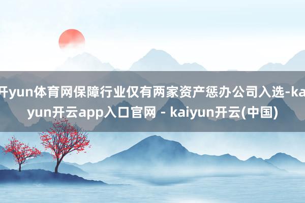 开yun体育网保障行业仅有两家资产惩办公司入选-kaiyun开云app入口官网 - kaiyun开云(中国)