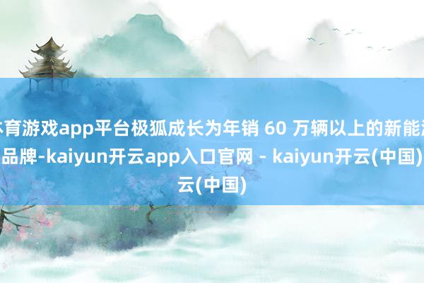 体育游戏app平台极狐成长为年销 60 万辆以上的新能源品牌-kaiyun开云app入口官网 - kaiyun开云(中国)