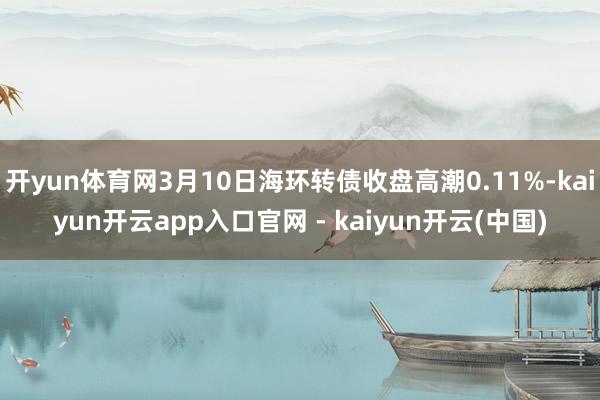 开yun体育网3月10日海环转债收盘高潮0.11%-kaiyun开云app入口官网 - kaiyun开云(中国)