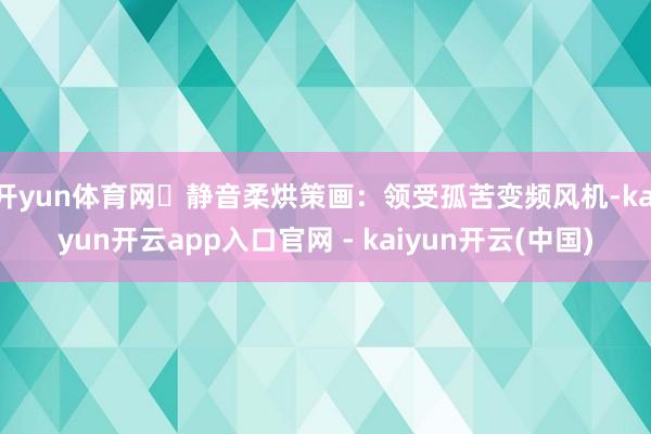 开yun体育网⭕静音柔烘策画:领受孤苦变频风机-kaiyun开云app入口官网 - kaiyun开云(中国)