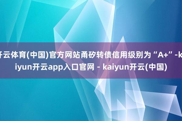 开云体育(中国)官方网站甬矽转债信用级别为“A+”-kaiyun开云app入口官网 - kaiyun开云(中国)