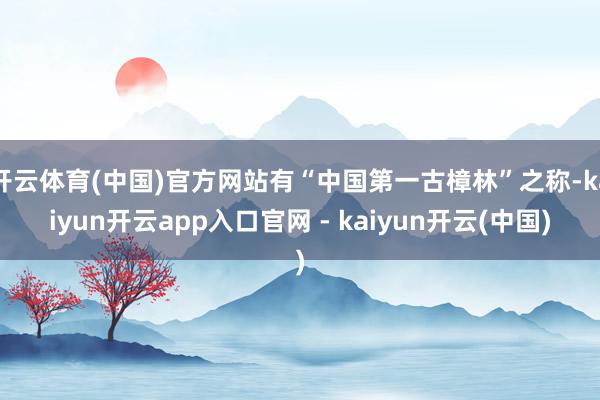 开云体育(中国)官方网站有“中国第一古樟林”之称-kaiyun开云app入口官网 - kaiyun开云(中国)