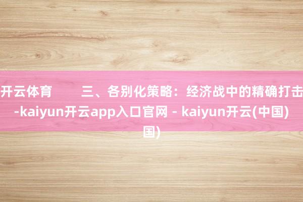 开云体育        三、各别化策略：经济战中的精确打击-kaiyun开云app入口官网 - kaiyun开云(中国)